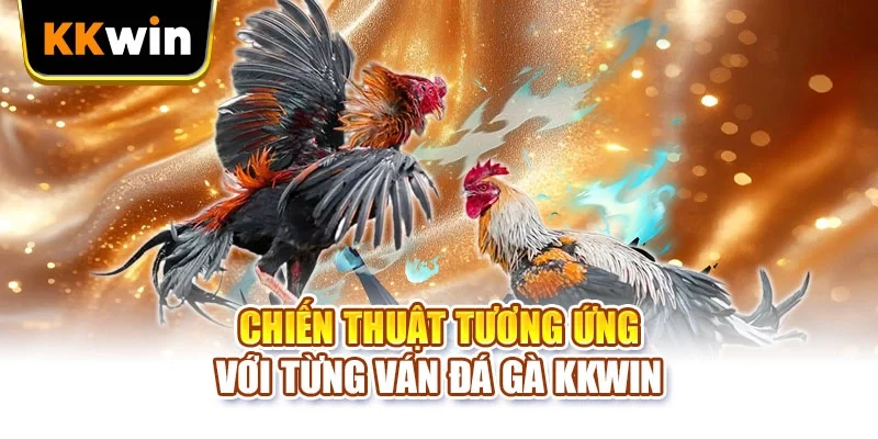 Đá Gà KKWIN - 4 Chặng Đọc Kèo Chuẩn Cho Người Chơi Mới