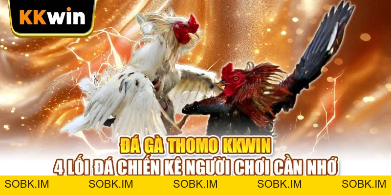 Cách Chọn Gà KKWIN - 6 Dấu Hiệu Nhận Ra Chiến Kê Hay