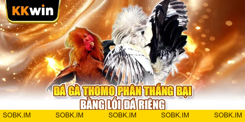 Đá Gà Thomo KKWIN - 4 Lối Đá Chiến Kê Người Chơi Cần Nhớ Đá Gà Thomo KKWIN - 4 Lối Đá Chiến Kê Người Chơi Cần Nhớ