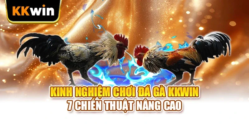 Kinh Nghiệm Chơi Đá Gà KKWIN - 7 Chiến Thuật Nâng Cao