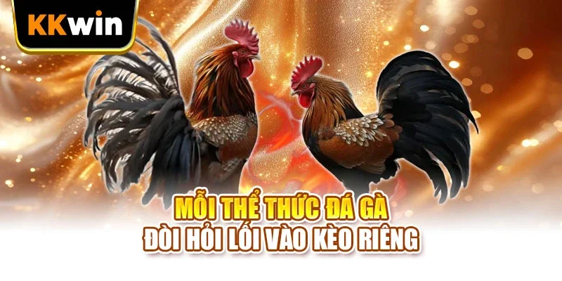 Kinh Nghiệm Chơi Đá Gà KKWIN - 7 Chiến Thuật Nâng Cao