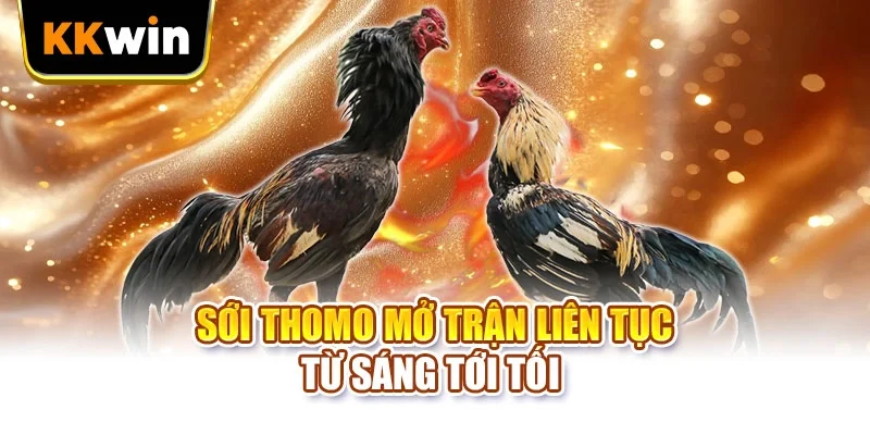 Đá Gà Thomo KKWIN - 4 Lối Đá Chiến Kê Người Chơi Cần Nhớ Đá Gà Thomo KKWIN - 4 Lối Đá Chiến Kê Người Chơi Cần Nhớ